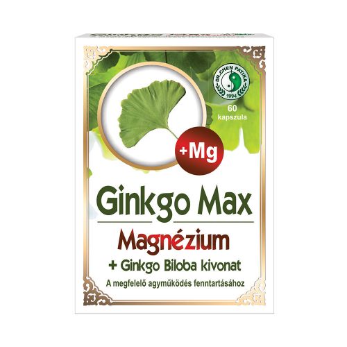 Ginkgo MAX Kapsel mit des Magnesiums